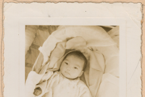 Baby in bassinette (ddr-densho-329-1285)
