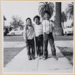 William Shiomi in center with two unidentified boys (ddr-densho-522-262)
