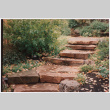 Steps (ddr-densho-377-2070)