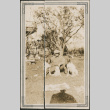 Man with three dogs (ddr-densho-293-61)