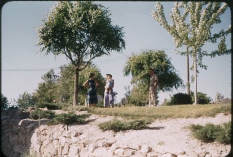 A group under trees (ddr-densho-338-502)