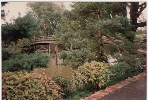Bridge (ddr-densho-377-2057)