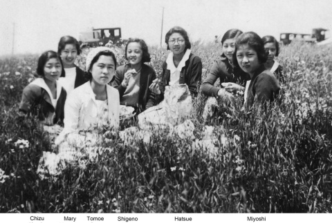 Group of young women at a picnic (ddr-ajah-3-336)