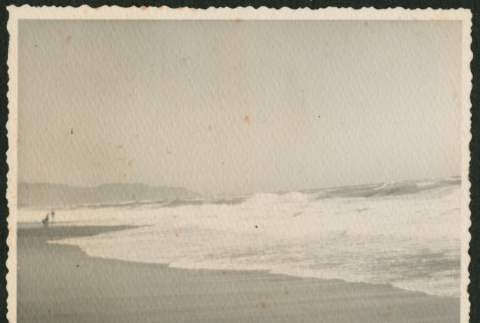 Beach Scene (ddr-densho-378-1087)