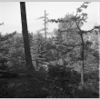 View from mountainside of garden and lake (ddr-densho-354-1952)
