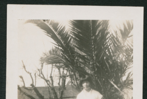 girl next to palm tree (ddr-densho-378-424)