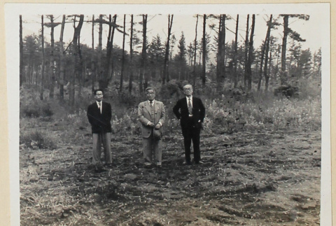 Three men standing in a wooded lot (ddr-densho-433-734)