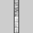 Negative film strip for Farewell to Manzanar scene stills (ddr-densho-317-184)