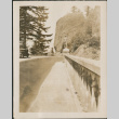 Man standing on railing alongside road (ddr-densho-316-255)