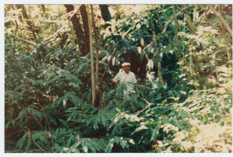 Bill Iino in forest (ddr-densho-368-293)