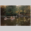 Rock feature in pond (ddr-densho-377-2325)