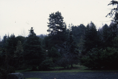 View from Mountainside (ddr-densho-354-2038)
