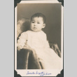Baby portrait of Tomiko Suzuki (ddr-densho-483-563)