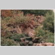 Steps (ddr-densho-377-2072)