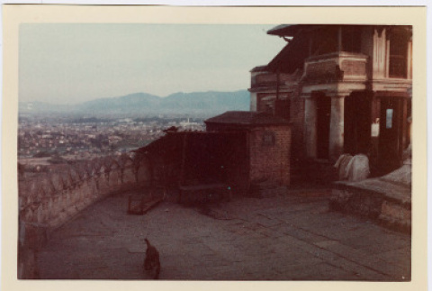 Photo and negative (ddr-densho-426-1157-mezzanine-516cc96d63)