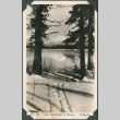 Postcard of Lake McDonald (ddr-densho-316-329)