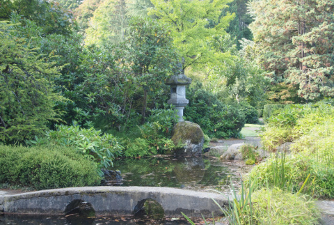 Eyeglass bridge and stone lantern, Japanese Garden pond (ddr-densho-354-2872)
