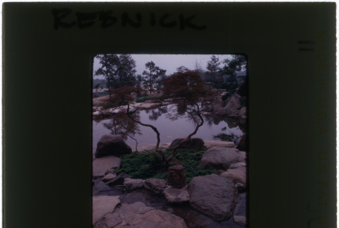 Pond and rock garden at the Resnick project (ddr-densho-377-1150)