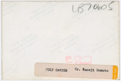 Back (ddr-densho-377-1776-mezzanine-076d4a39f5)