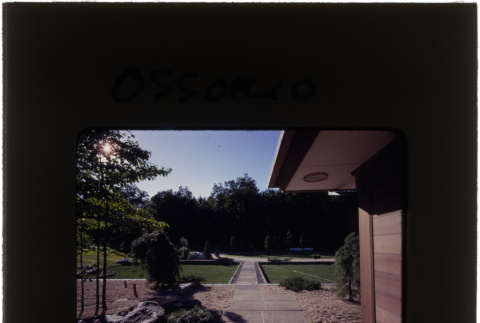 Garden at the Ossorio project (ddr-densho-377-762)