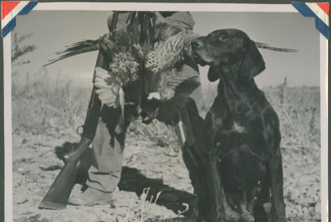 A hunting dog with game (ddr-densho-201-930)
