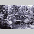 Historical photo of the Garden from Kraig Kemper's Thesis (ddr-densho-354-296)