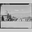 Japanese Americans waiting in line for mess hall (ddr-densho-37-812)