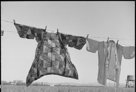 Last laundry drying in sun before mass removal (ddr-densho-151-178)