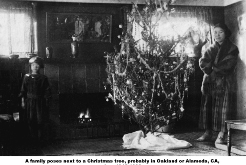 Woman and children standing by Christmas tree (ddr-ajah-6-578)