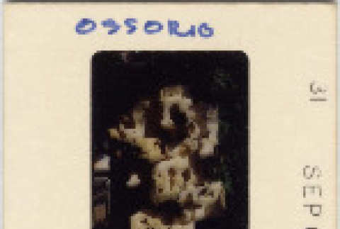 Front and back (ddr-densho-377-772-mezzanine-4bd7e2d189)