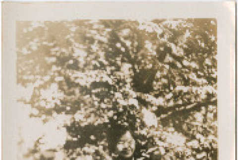 Photo front and back (ddr-densho-426-1956-mezzanine-01308fce59)