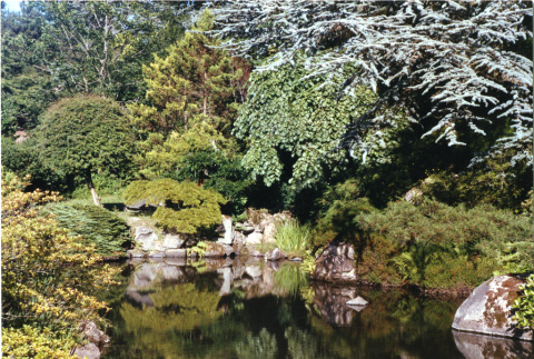 Reflection Pond (ddr-densho-354-11)