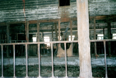 Current view of barn on former Issei dairy farm (ddr-densho-35-46)