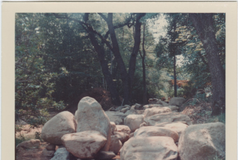 Boulders at the Brooklyn Botanic Garden (ddr-densho-377-17)