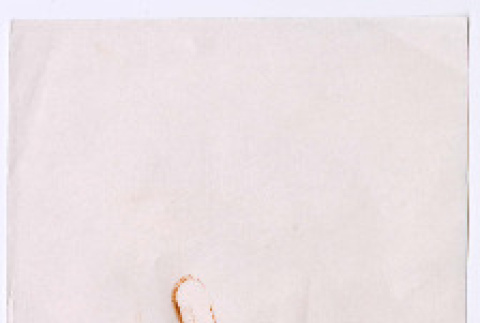 Document in Japanese (ddr-densho-501-375)