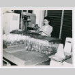 Woman sealing packages (ddr-densho-499-51)
