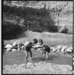 Young Japanese Americans playing in creek (ddr-densho-151-400)