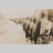 Soldiers walking in formation (ddr-janm-17-12)