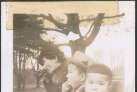 Woman and two children sitting on a bench (ddr-densho-483-1088)