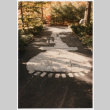 Rock path in road (ddr-densho-377-1956)