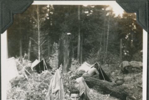 Man lying in forest near tents (ddr-ajah-2-253)
