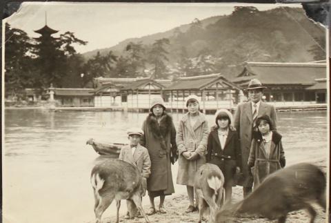 Nikkei family with deer at Miyajima, Japan (ddr-densho-259-390)