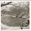 Snow in Tokyo (ddr-one-2-220)