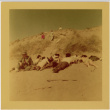 Group on beach (ddr-densho-426-177)