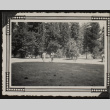 Baseball at Crystal Lake (ddr-densho-542-388)