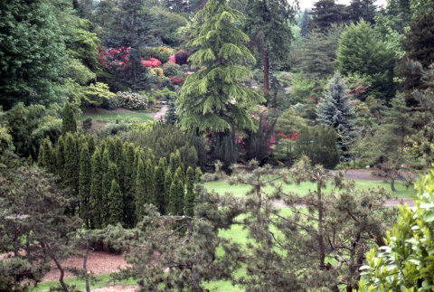 View of the Garden (ddr-densho-354-890)