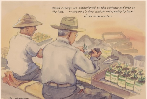 Painting of two men working with guayule cuttings (ddr-manz-2-10)