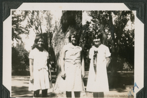 three women in front of a large tree (ddr-densho-378-605)