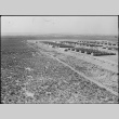 Panoramic view of camp (ddr-densho-37-746)