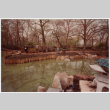 Planting (ddr-densho-377-2091)